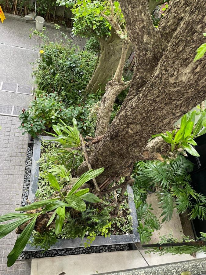 Tonaoi Grand Hotel Hat Yai Exteriör bild